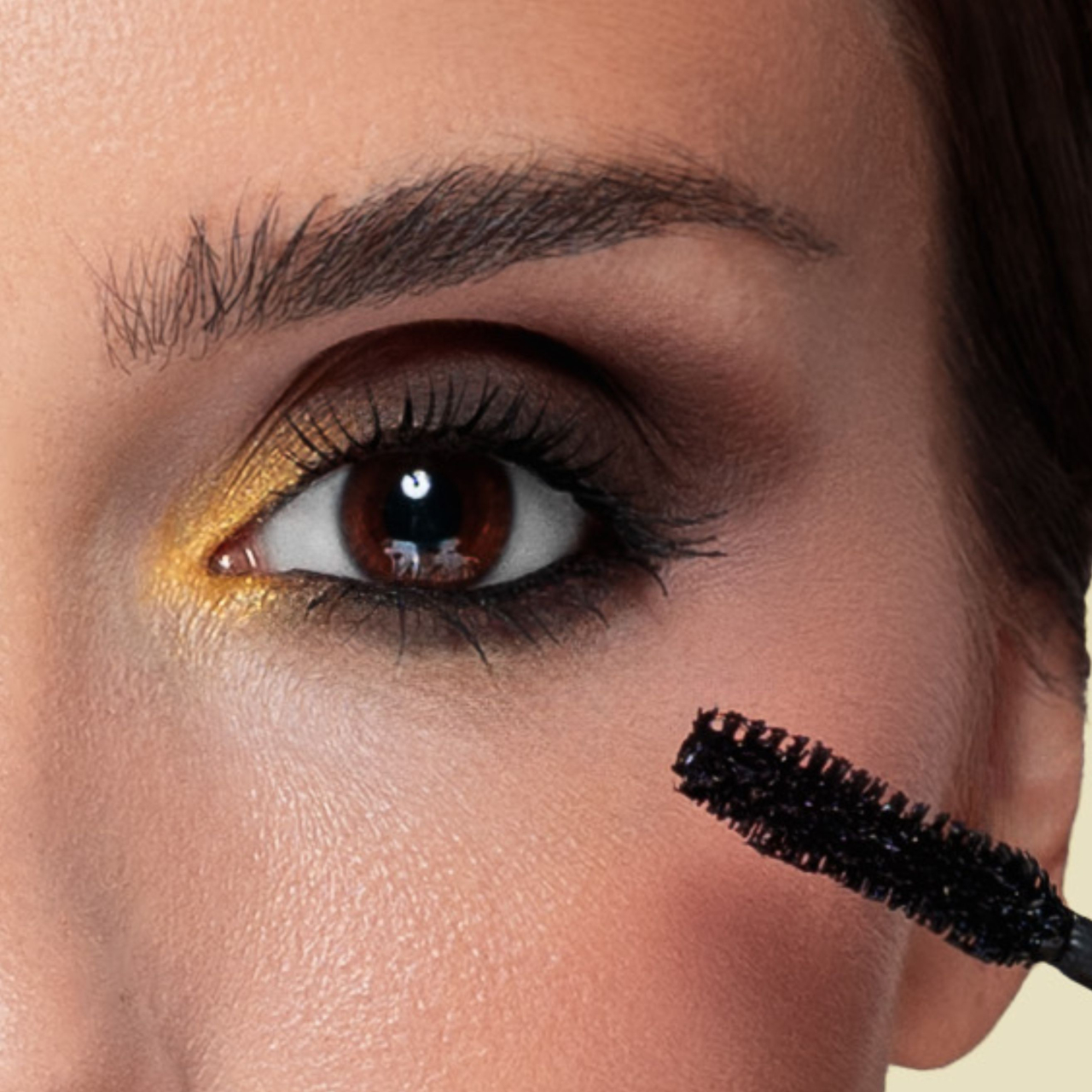 LASH + LINE BUNDLE